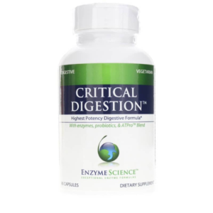 Critical Digestion Enzymes